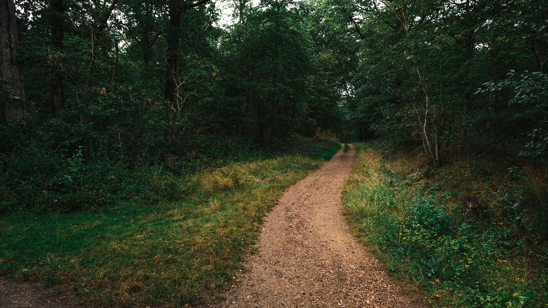 pexels-mathias-reding-9608573