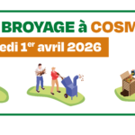 Session de broyage : COSMES