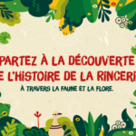 Découverte de La Rincerie