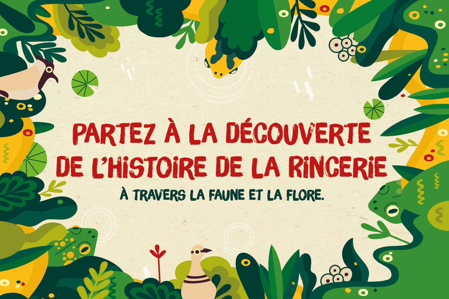 Découverte de La Rincerie