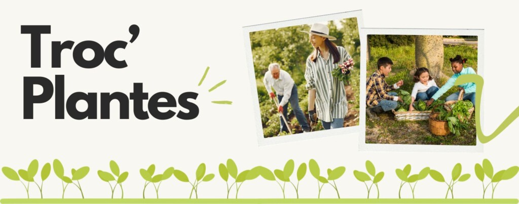 Bandeau du site internet pour l'animation Troc'Plantes organisé par les Ateliers d'Échanges du Pays de Craon
