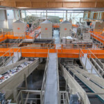 Visite du centre de tri